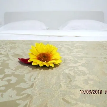 Sunlight Apartment